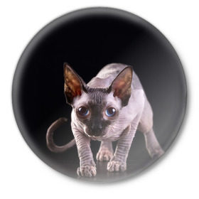 Значок с принтом сфинкс в Екатеринбурге,  металл | круглая форма, металлическая застежка в виде булавки | Тематика изображения на принте: cat | голубые глаза | кот | котик | котэ | кошка | сфинкс | черный