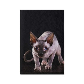 Обложка для паспорта матовая кожа с принтом сфинкс в Екатеринбурге, натуральная матовая кожа | размер 19,3 х 13,7 см; прозрачные пластиковые крепления | Тематика изображения на принте: cat | голубые глаза | кот | котик | котэ | кошка | сфинкс | черный