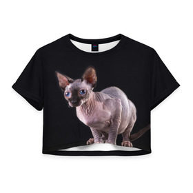 Женская футболка 3D укороченная с принтом сфинкс в Екатеринбурге, 100% полиэстер | круглая горловина, длина футболки до линии талии, рукава с отворотами | взгляд | голубые глаза | киска | кот | котенок | котик | котэ | серый | сфинкс | черный