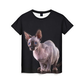 Женская футболка 3D с принтом сфинкс в Екатеринбурге, 100% полиэфир ( синтетическое хлопкоподобное полотно) | прямой крой, круглый вырез горловины, длина до линии бедер | взгляд | голубые глаза | киска | кот | котенок | котик | котэ | серый | сфинкс | черный