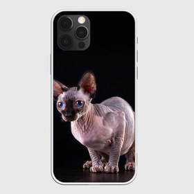 Чехол для iPhone 12 Pro Max с принтом сфинкс в Екатеринбурге, Силикон |  | Тематика изображения на принте: взгляд | голубые глаза | киска | кот | котенок | котик | котэ | серый | сфинкс | черный