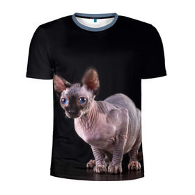 Мужская футболка 3D спортивная с принтом сфинкс в Екатеринбурге, 100% полиэстер с улучшенными характеристиками | приталенный силуэт, круглая горловина, широкие плечи, сужается к линии бедра | Тематика изображения на принте: взгляд | голубые глаза | киска | кот | котенок | котик | котэ | серый | сфинкс | черный
