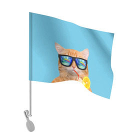 Флаг для автомобиля с принтом котэ на отдыхе в Екатеринбурге, 100% полиэстер | Размер: 30*21 см | кот | котик | лето | море | отдых | очки | пальмы | пляж | рыжий кот | солнце