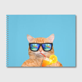 Альбом для рисования с принтом котэ на отдыхе в Екатеринбурге, 100% бумага
 | матовая бумага, плотность 200 мг. | Тематика изображения на принте: кот | котик | лето | море | отдых | очки | пальмы | пляж | рыжий кот | солнце