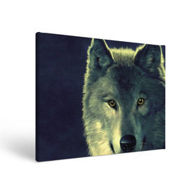 Холст прямоугольный с принтом Серый волк в Екатеринбурге, 100% ПВХ |  | Тематика изображения на принте: аука | бирюк | волк | волчара | волчица | волчок | глаза | животное | животные | зверь | зеленые | койот | млекопитающее | нос | санитар леса | серый | уши | фауна | фон | хищник | черный | шакал | шерсть
