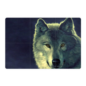 Магнитный плакат 3Х2 с принтом Серый волк в Екатеринбурге, Полимерный материал с магнитным слоем | 6 деталей размером 9*9 см | аука | бирюк | волк | волчара | волчица | волчок | глаза | животное | животные | зверь | зеленые | койот | млекопитающее | нос | санитар леса | серый | уши | фауна | фон | хищник | черный | шакал | шерсть