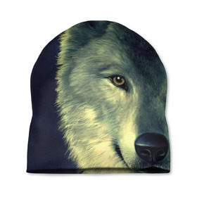 Шапка 3D с принтом Серый волк в Екатеринбурге, 100% полиэстер | универсальный размер, печать по всей поверхности изделия | аука | бирюк | волк | волчара | волчица | волчок | глаза | животное | животные | зверь | зеленые | койот | млекопитающее | нос | санитар леса | серый | уши | фауна | фон | хищник | черный | шакал | шерсть