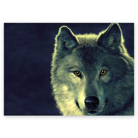 Поздравительная открытка с принтом Серый волк в Екатеринбурге, 100% бумага | плотность бумаги 280 г/м2, матовая, на обратной стороне линовка и место для марки
 | аука | бирюк | волк | волчара | волчица | волчок | глаза | животное | животные | зверь | зеленые | койот | млекопитающее | нос | санитар леса | серый | уши | фауна | фон | хищник | черный | шакал | шерсть