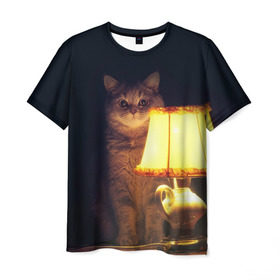 Мужская футболка 3D с принтом Истории в Екатеринбурге, 100% полиэфир | прямой крой, круглый вырез горловины, длина до линии бедер | cat | kitty | животные | киса | кот | котенок | котэ | кошка
