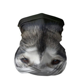 Бандана-труба 3D с принтом Хаски в Екатеринбурге, 100% полиэстер, ткань с особыми свойствами — Activecool | плотность 150‒180 г/м2; хорошо тянется, но сохраняет форму | волк | маламут | собака | хаски | щенок