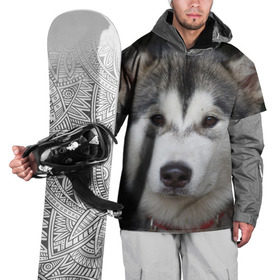 Накидка на куртку 3D с принтом Хаски в Екатеринбурге, 100% полиэстер |  | волк | маламут | собака | хаски | щенок