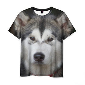 Мужская футболка 3D с принтом Хаски в Екатеринбурге, 100% полиэфир | прямой крой, круглый вырез горловины, длина до линии бедер | волк | маламут | собака | хаски | щенок