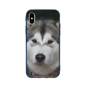 Чехол для Apple iPhone X силиконовый матовый с принтом Хаски в Екатеринбурге, Силикон | Печать на задней стороне чехла, без боковой панели | волк | маламут | собака | хаски | щенок
