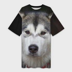 Платье-футболка 3D с принтом Хаски в Екатеринбурге,  |  | волк | маламут | собака | хаски | щенок