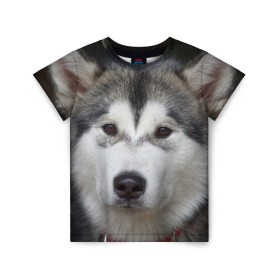 Детская футболка 3D с принтом Хаски в Екатеринбурге, 100% гипоаллергенный полиэфир | прямой крой, круглый вырез горловины, длина до линии бедер, чуть спущенное плечо, ткань немного тянется | волк | маламут | собака | хаски | щенок