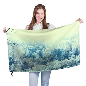Флаг 3D с принтом Снежный лес в Екатеринбурге, 100% полиэстер | плотность ткани — 95 г/м2, размер — 67 х 109 см. Принт наносится с одной стороны | деревья | зима | лес | природа