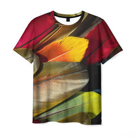 Мужская футболка 3D с принтом Перья в Екатеринбурге, 100% полиэфир | прямой крой, круглый вырез горловины, длина до линии бедер | перо | попугай | птица | радуга | радужный