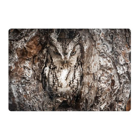 Магнитный плакат 3Х2 с принтом Камуфляж сова в Екатеринбурге, Полимерный материал с магнитным слоем | 6 деталей размером 9*9 см | дерево | пернатая | птица | филин