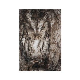 Обложка для паспорта матовая кожа с принтом Камуфляж сова в Екатеринбурге, натуральная матовая кожа | размер 19,3 х 13,7 см; прозрачные пластиковые крепления | дерево | пернатая | птица | филин