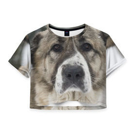 Женская футболка 3D укороченная с принтом САО (алабай) в Екатеринбурге, 100% полиэстер | круглая горловина, длина футболки до линии талии, рукава с отворотами | большая огромная | грозная | добрая | друг человека | животное | красивая | милая | пес | породистая собака | породы | прикольная | сао алабай | щенок