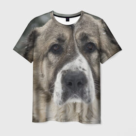 Мужская футболка 3D с принтом САО (алабай) в Екатеринбурге, 100% полиэфир | прямой крой, круглый вырез горловины, длина до линии бедер | большая огромная | грозная | добрая | друг человека | животное | красивая | милая | пес | породистая собака | породы | прикольная | сао алабай | щенок