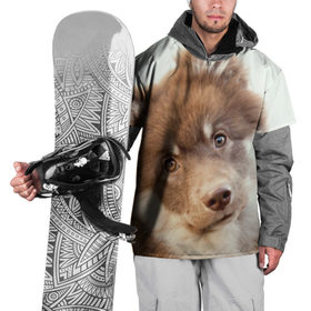 Накидка на куртку 3D с принтом Милый в Екатеринбурге, 100% полиэстер |  | Тематика изображения на принте: друг человека | животное | красивая | маленький | милая | милый взгляд | пес | песик | породистая собака | породы | прикольная | рыжий | щенок