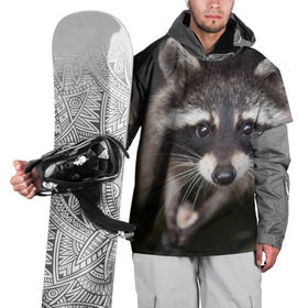 Накидка на куртку 3D с принтом Енот попрошайка в Екатеринбурге, 100% полиэстер |  | барсук | добрый | енот | животное | зверек | зверь | красивый | крошка | милое | милый | полоски серые | полоскун | прикольный | природа | скунс | усатый | фауна | флора | хищник | черный | шерсть