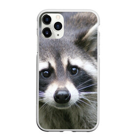 Чехол для iPhone 11 Pro матовый с принтом Озадаченный енот в Екатеринбурге, Силикон |  | добрый | енот | животное | зверек | зверь | красивый | милое | милый | полоски серые | полоскун | прикольный | природа | усатый | фауна | флора | хищник | черный | шерсть