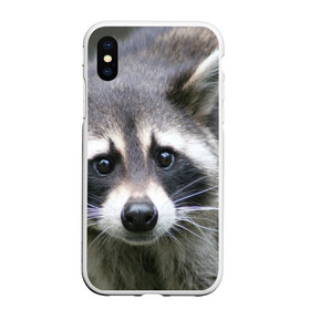 Чехол для iPhone XS Max матовый с принтом Озадаченный енот в Екатеринбурге, Силикон | Область печати: задняя сторона чехла, без боковых панелей | добрый | енот | животное | зверек | зверь | красивый | милое | милый | полоски серые | полоскун | прикольный | природа | усатый | фауна | флора | хищник | черный | шерсть