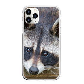 Чехол для iPhone 11 Pro матовый с принтом Енот в Екатеринбурге, Силикон |  | барсук | добрый | енот | животное | зверек | зверь | красивый | крошка | милое | милый | полоски серые | полоскун | прикольный | природа | скунс | усатый | фауна | флора | хищник | черный | шерсть