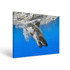 Холст прямоугольный с принтом Акула в Екатеринбурге, 100% ПВХ |  | shark | море | синий | челюсти