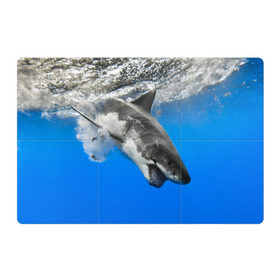 Магнитный плакат 3Х2 с принтом Акула в Екатеринбурге, Полимерный материал с магнитным слоем | 6 деталей размером 9*9 см | shark | море | синий | челюсти
