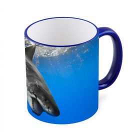 Кружка 3D с принтом Акула в Екатеринбурге, керамика | ёмкость 330 мл | shark | море | синий | челюсти