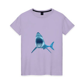 Женская футболка хлопок с принтом Акула в Екатеринбурге, 100% хлопок | прямой крой, круглый вырез горловины, длина до линии бедер, слегка спущенное плечо | shark | челюсти