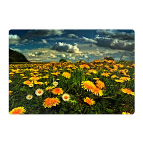Магнитный плакат 3Х2 с принтом Одуванчики в Екатеринбурге, Полимерный материал с магнитным слоем | 6 деталей размером 9*9 см | пейзаж | поле | цветы