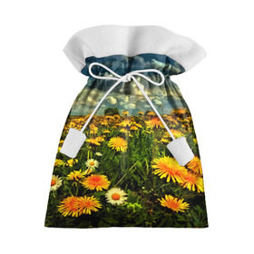 Подарочный 3D мешок с принтом Одуванчики в Екатеринбурге, 100% полиэстер | Размер: 29*39 см | пейзаж | поле | цветы