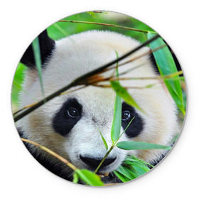 Коврик круглый с принтом Панда в лесу в Екатеринбурге, резина и полиэстер | круглая форма, изображение наносится на всю лицевую часть | бамбук | животное | медведь