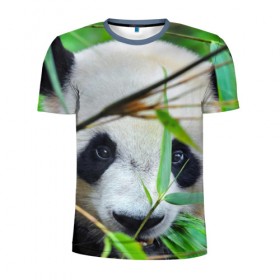 Мужская футболка 3D спортивная с принтом Панда в лесу в Екатеринбурге, 100% полиэстер с улучшенными характеристиками | приталенный силуэт, круглая горловина, широкие плечи, сужается к линии бедра | бамбук | животное | медведь