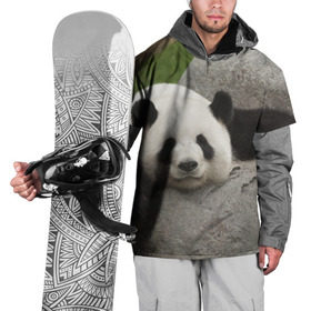 Накидка на куртку 3D с принтом Панда на камушке в Екатеринбурге, 100% полиэстер |  | Тематика изображения на принте: бамбук | животное | медведь