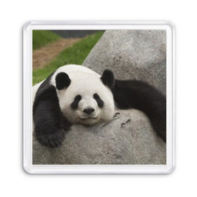 Магнит 55*55 с принтом Панда на камушке в Екатеринбурге, Пластик | Размер: 65*65 мм; Размер печати: 55*55 мм | бамбук | животное | медведь