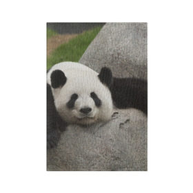 Обложка для паспорта матовая кожа с принтом Панда на камушке в Екатеринбурге, натуральная матовая кожа | размер 19,3 х 13,7 см; прозрачные пластиковые крепления | бамбук | животное | медведь