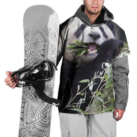 Накидка на куртку 3D с принтом Панда кушает в Екатеринбурге, 100% полиэстер |  | Тематика изображения на принте: бамбук | животное | медведь