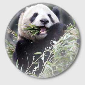 Значок с принтом Панда кушает в Екатеринбурге,  металл | круглая форма, металлическая застежка в виде булавки | Тематика изображения на принте: бамбук | животное | медведь