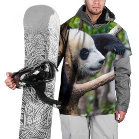 Накидка на куртку 3D с принтом Бамбуковый медведь в Екатеринбурге, 100% полиэстер |  | Тематика изображения на принте: бамбук | животное | медведь