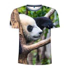 Мужская футболка 3D спортивная с принтом Бамбуковый медведь в Екатеринбурге, 100% полиэстер с улучшенными характеристиками | приталенный силуэт, круглая горловина, широкие плечи, сужается к линии бедра | бамбук | животное | медведь