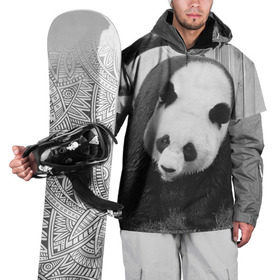 Накидка на куртку 3D с принтом Панды чб фото в Екатеринбурге, 100% полиэстер |  | Тематика изображения на принте: бамбук | животное | медведь