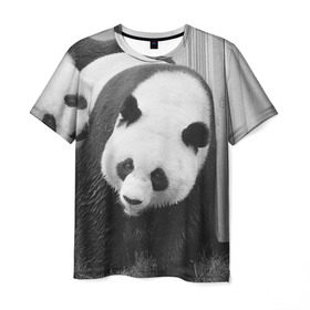 Мужская футболка 3D с принтом Панды чб фото в Екатеринбурге, 100% полиэфир | прямой крой, круглый вырез горловины, длина до линии бедер | бамбук | животное | медведь