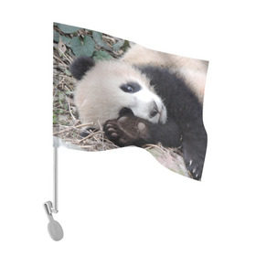 Флаг для автомобиля с принтом Лапка панда в Екатеринбурге, 100% полиэстер | Размер: 30*21 см | бамбук | животное | медведь