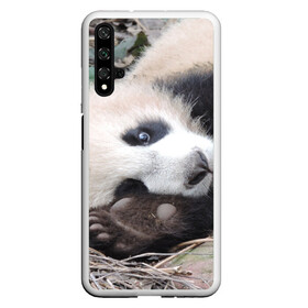 Чехол для Honor 20 с принтом Лапка панда в Екатеринбурге, Силикон | Область печати: задняя сторона чехла, без боковых панелей | бамбук | животное | медведь
