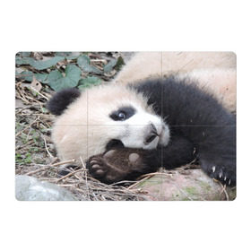 Магнитный плакат 3Х2 с принтом Лапка панда в Екатеринбурге, Полимерный материал с магнитным слоем | 6 деталей размером 9*9 см | бамбук | животное | медведь